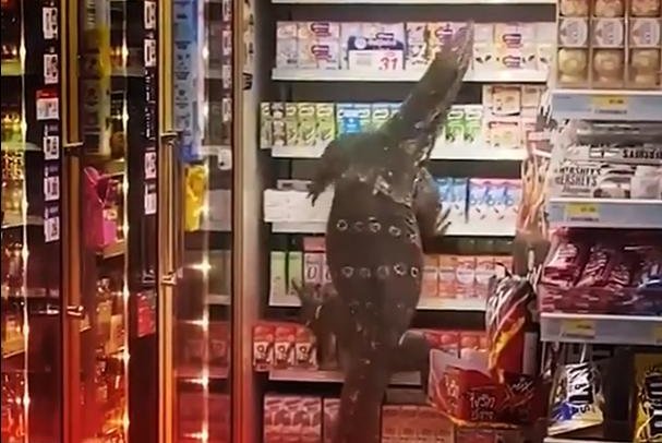 It was probably trying to get its groceries