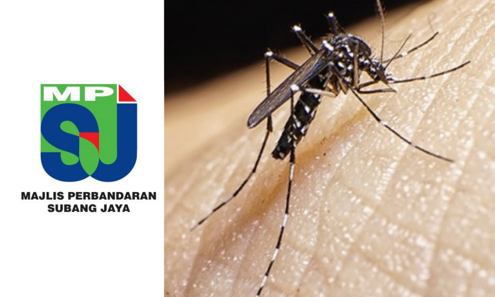 No dengue hotspot areas had been detected since October 23.