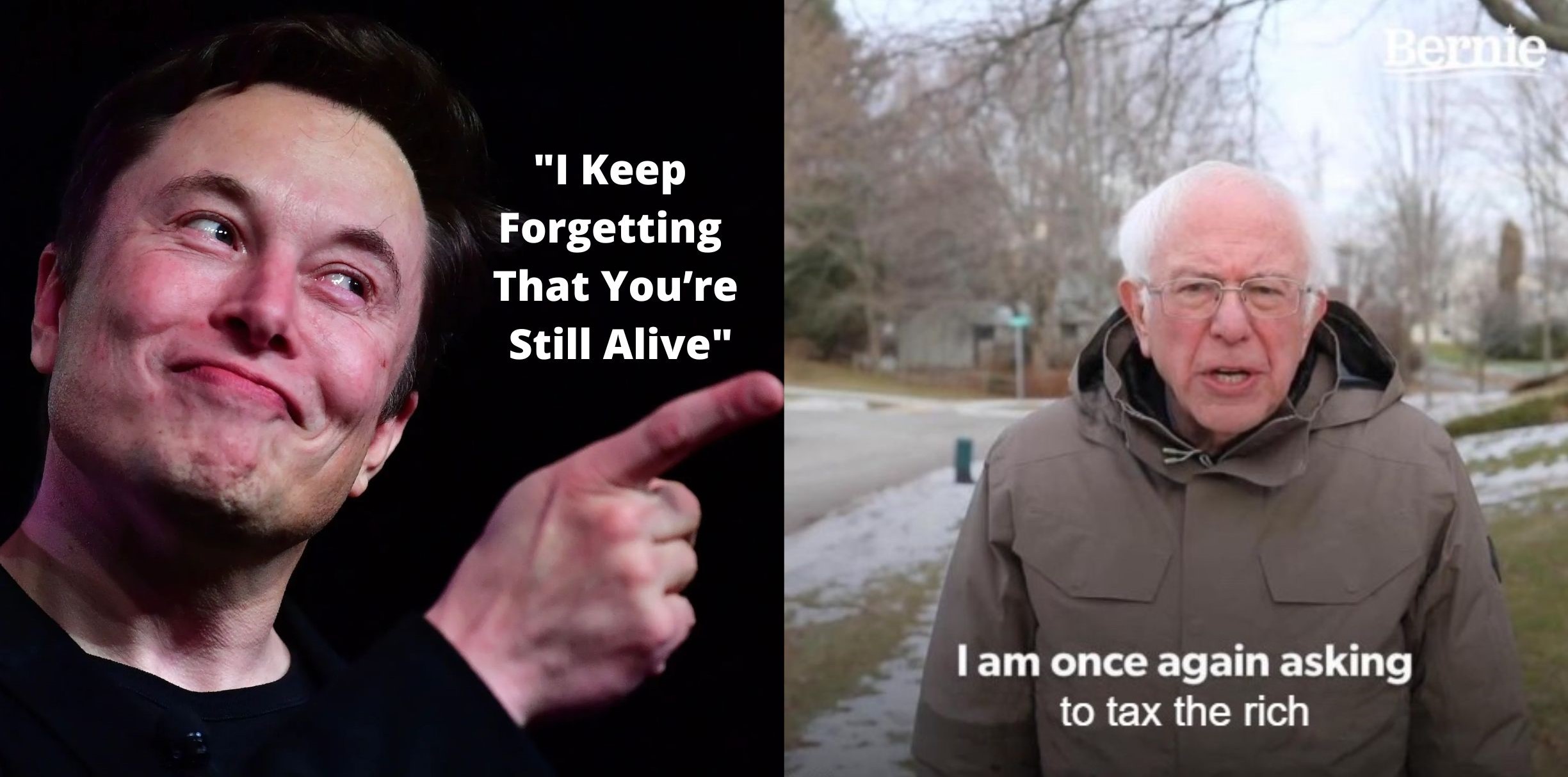 Looks like Elon is back at trolling and this time he targeted Bernie Sanders 